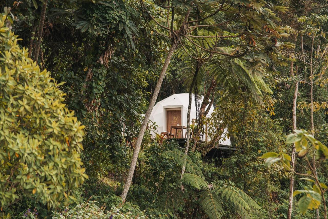 Terramia Estate Villa Minca Exterior photo
